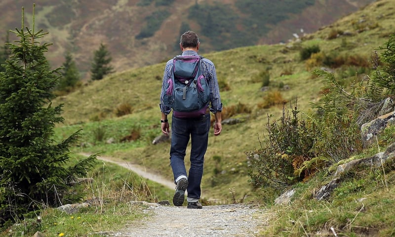 Mindful Hike